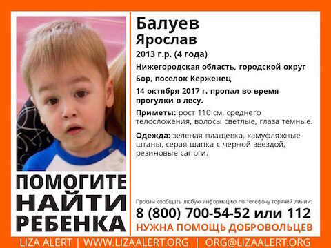 Саратовские добровольцы помогут искать ребенка у Нижнего Новгорода