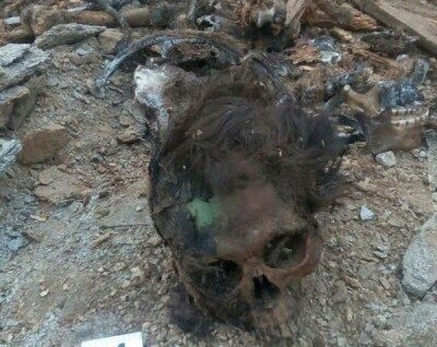 Сборщик металлолома из Кяхты нашёл останки человека