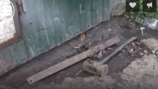 Семья из Курска кувалдой защищала пьяного родственника от полицейских (видео)