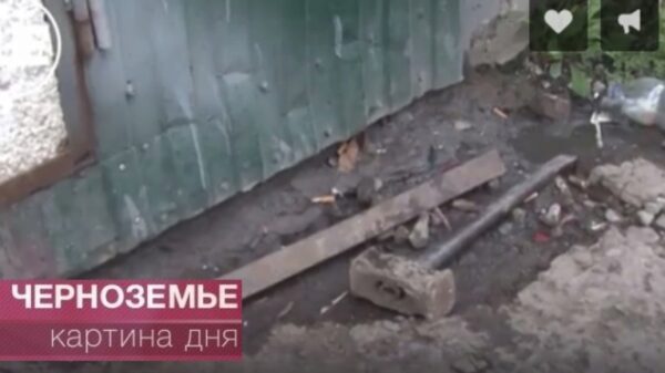 Семья кувалдой защищала пьяного родственника от полицейских (видео)