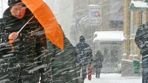 Сильный ветер?, снег и дождь прогнозируют синоптики на территории Югры