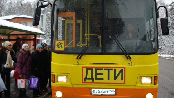 Соцучреждения Нижегородской области закупят 17 автобусов для перевозки детей