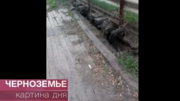«Так не делал дорогу еще никто»: дорожники закатали в асфальт деревянный мост (видео)