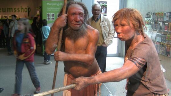 Ученые: человек унаследовал часть генов неандертальцев