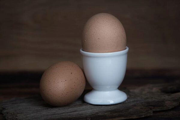 Ученые: куриные яйца способны помочь в борьбе с раком