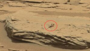 Учёные: на Марсе была обнаружена древняя чаша