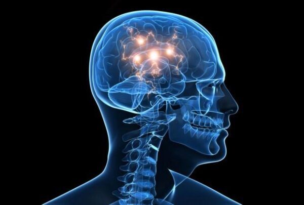 Ученые-нейрофизиологи: Мозг человека реагирует по-разному на неудачи биологических родственников
