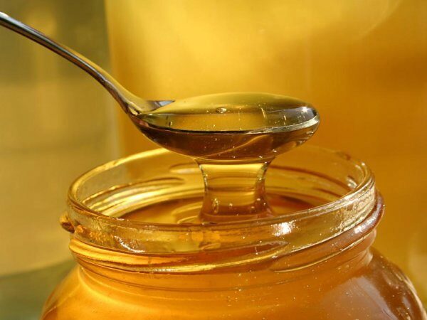 Ученые предупреждают: мед может быть опасен для здоровья