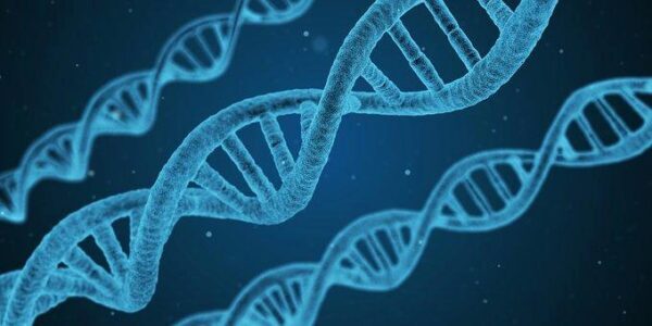 Ученые: Расшифрован геном человека, благодаря которому теперь можно излечить любую болезнь