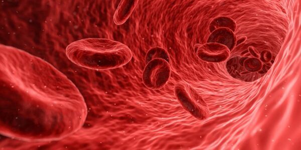 Ученые: Стволовые клетки кожи «помнят» о ранах и воспалениях