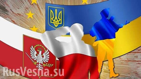Украина и Польша проведут консультации по скандальному закону об образовании (ВИДЕО)