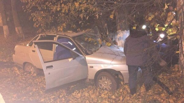 В Балахне легковушка въехала в дерево: пострадали четверо пассажиров