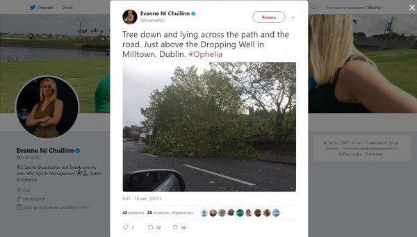 В Ирландии во время шторма "Офелия" погиб человек