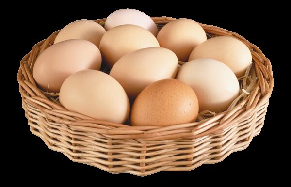 В Лебяжье обнаружили опасные куриные яйца в детском саду