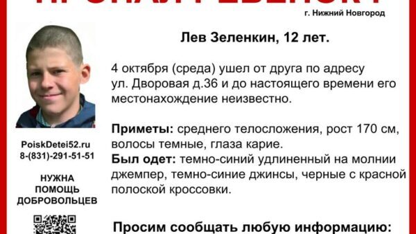 В Нижнем Новгороде пропал 12-летний Лев Зеленкин