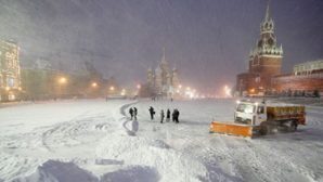 В ночь на пятницу в Москве выпадет до 5 см снега — синоптики