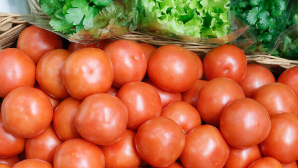 В России запретят ввоз томатов из Африки и Азии через Белоруссию