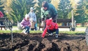 В Екатеринбурге в ЦПКиО, где установили могильные плиты, в -10 высадили 50 тыс. тюльпанов