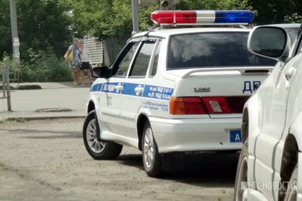 В Омской области умер шофёр ВАЗа