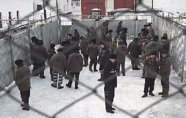Зеку за бунт в изоляторе на Ямале добавили срок, увеличив его до 22,5 года колонии