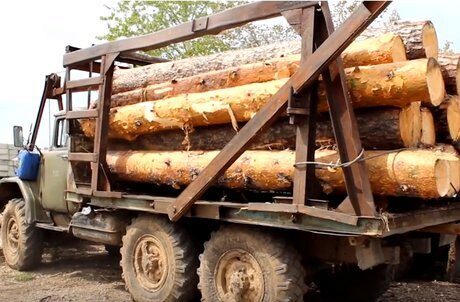 Жительница Иркутской области стала главным фигурантом дела о масштабной незаконной заготовке древесины