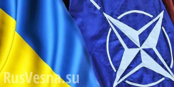 Зрада: Венгрия наложила вето на проведение саммита Украина — НАТО