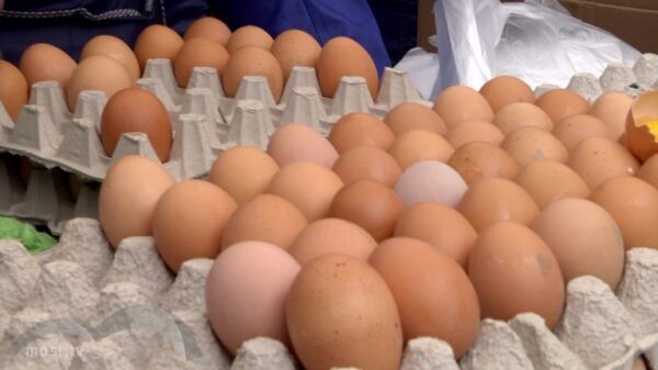 1,5 тысячи яиц и полтонны овощей и фруктов изъяли у нелегальных торговцев