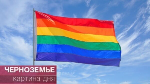 300 гомосексуалистов пожелали строем проводить год Петуха