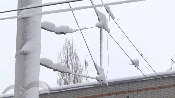 400 липчан до сих пор остаются без света из-за обрушившегося снегопада