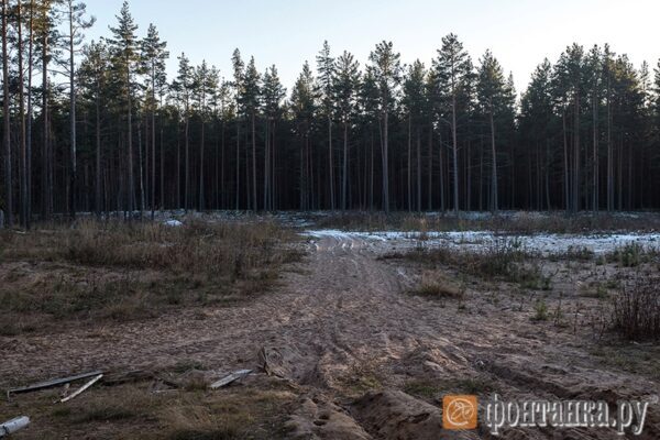 «Газпром» оплатил за недостроенный газопровод в Приозерске 1,7 млрд руб.