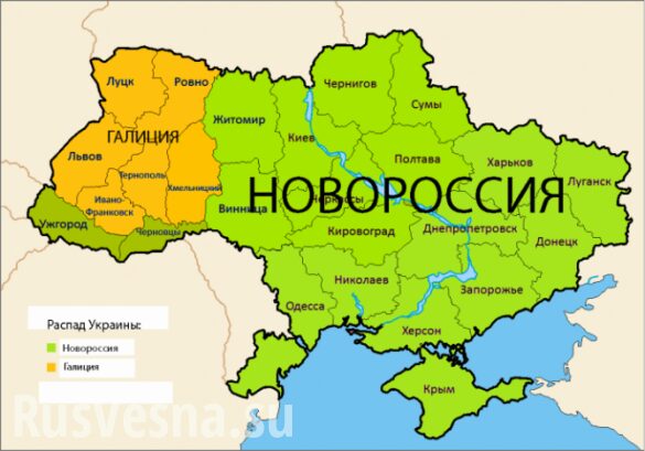 «Крым уже уехал, и мы уедем со своими территориями», — нардеп от Запорожья шокировал неонациста Корчинского (ВИДЕО)