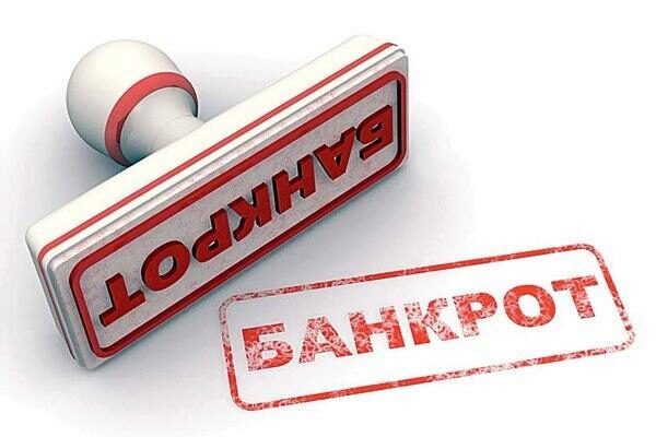 Национальный центр банкротств: Банкроты в России стали моложе и нарастили долги