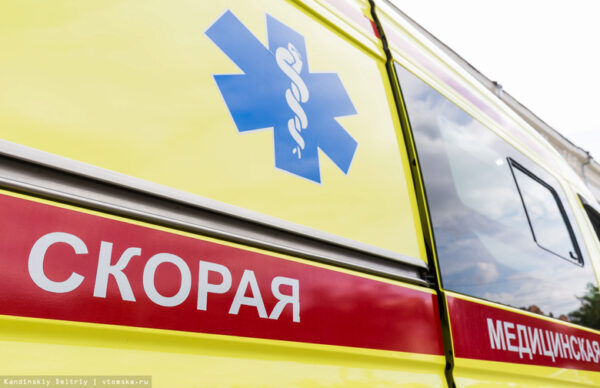 На трассе в Томской области шофёр Мазда насмерть сбил четырех лошадей