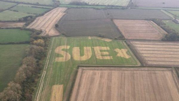 Найдена загадочная надпись на фермерском поле в Англии