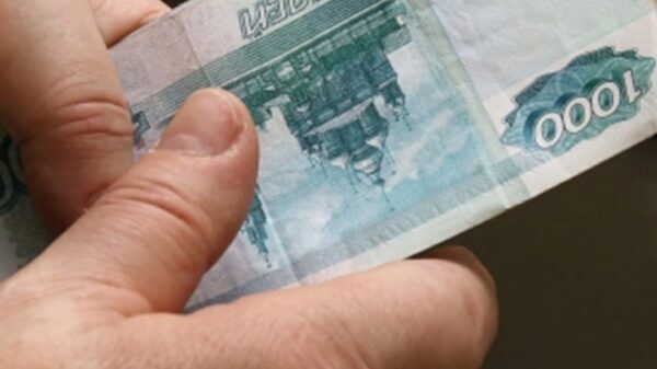 Нелегальные торговцы пополнили бюджет Липецка на 2,5 миллиона рублей