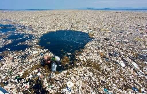 “Острова мусора” в Центральной Америке показывают нам насколько сильно загрязнен океан