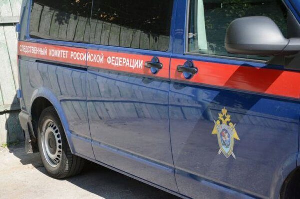Открыто уголовное дело после нападение агрессора на полицейских в Дагестане