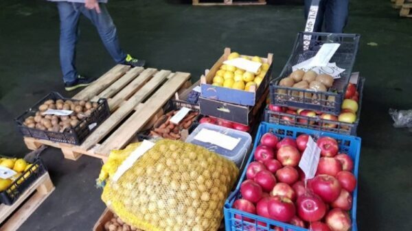 Полтонны овощей и фруктов изъяли у нелегальных торговцев