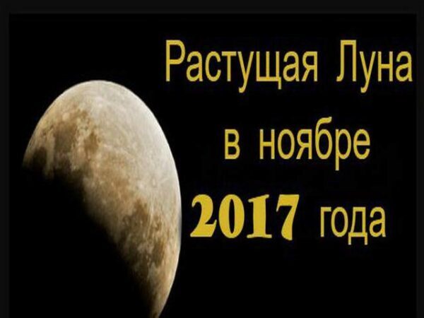 Растущая Луна 19-30 ноября 2017 года: опасности и возможности этого периода, советы и прогнозы астрологов
