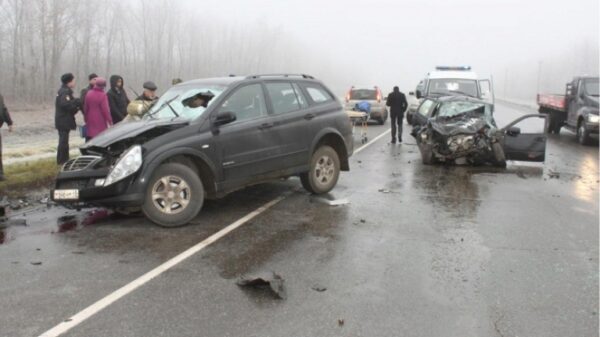 Родственники просят откликнуться очевидцев аварии, произошедшей в Липецкой области