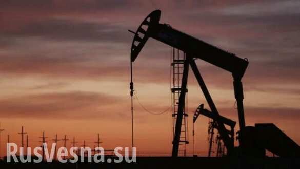 Россия нарастит добычу нефти вопреки обещаниям ОПЕК