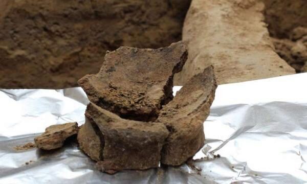 Самое древнее вино обнаружили археологи в Грузии