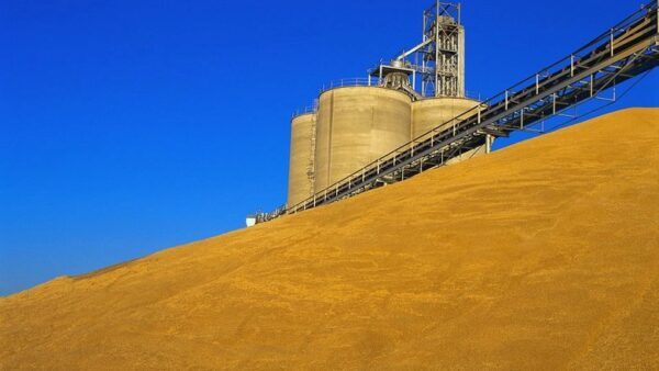 Сбор зерна в Нижегородской области вырос на 18%