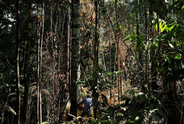 Семья из соедененных штатов два дня пряталась в тропических зарослях Амазонки после нападения пиратов