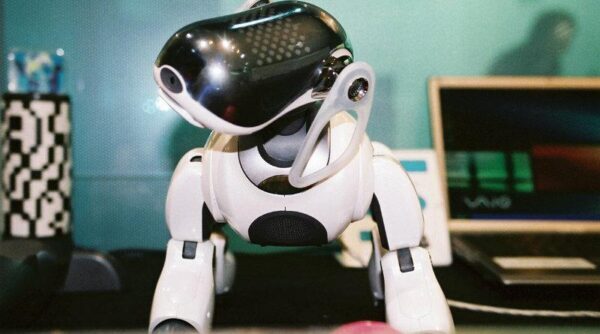 Sony объявила о старте продаж домашнего робота