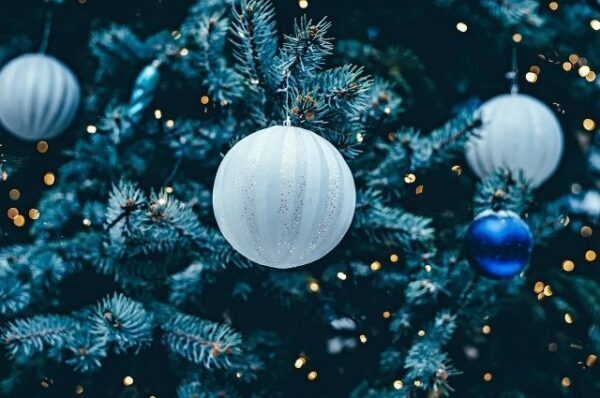 Светящуюся ёлку для новогоднего городка привезли в Барнаул
