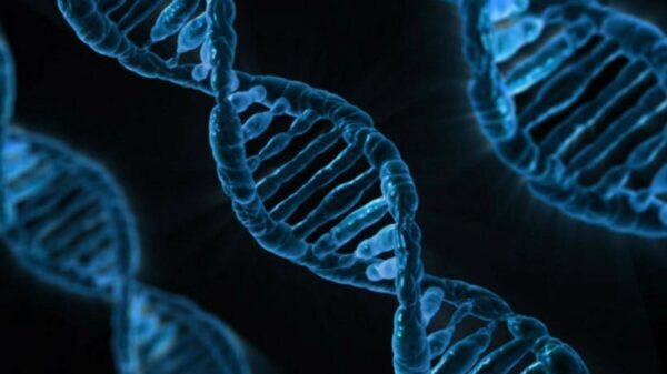 «Темная ДНК» может оказаться новым движущим механизмом эволюции