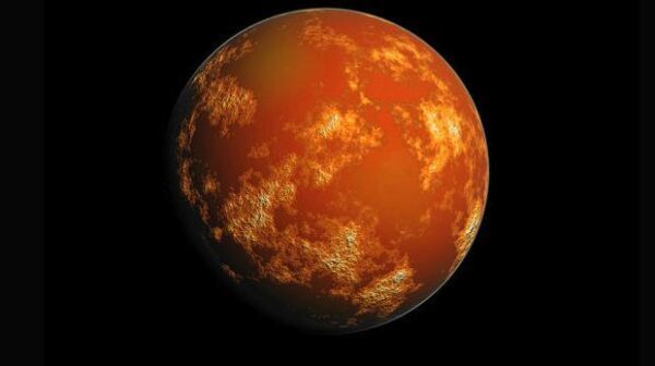 Ученые: Черви могут размножаться на Марсе