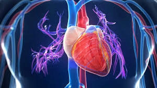 Ученые: У людей 1-2 группы крови растет риск сердечного приступа при загрязнении среды проживания