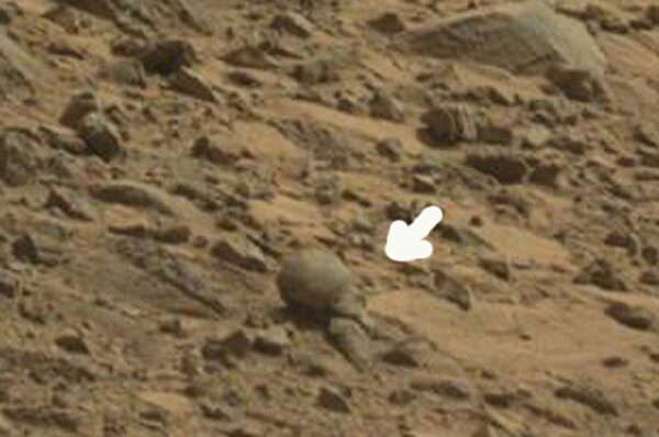 Уфолог обнаружил на Марсе останки пришельца из «Пятого элемента»: Реальность или игра воображения?